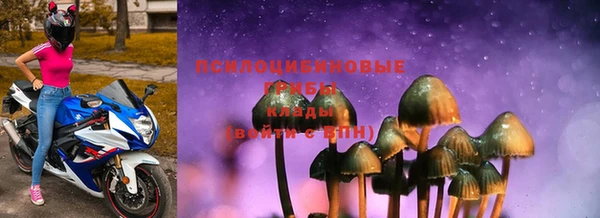 гидропоника Абаза