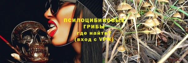 гидропоника Абаза