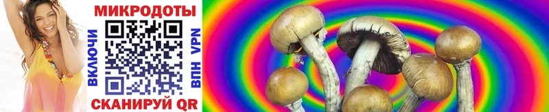 купить закладку  Шарья  Галлюциногенные грибы MAGIC MUSHROOMS 